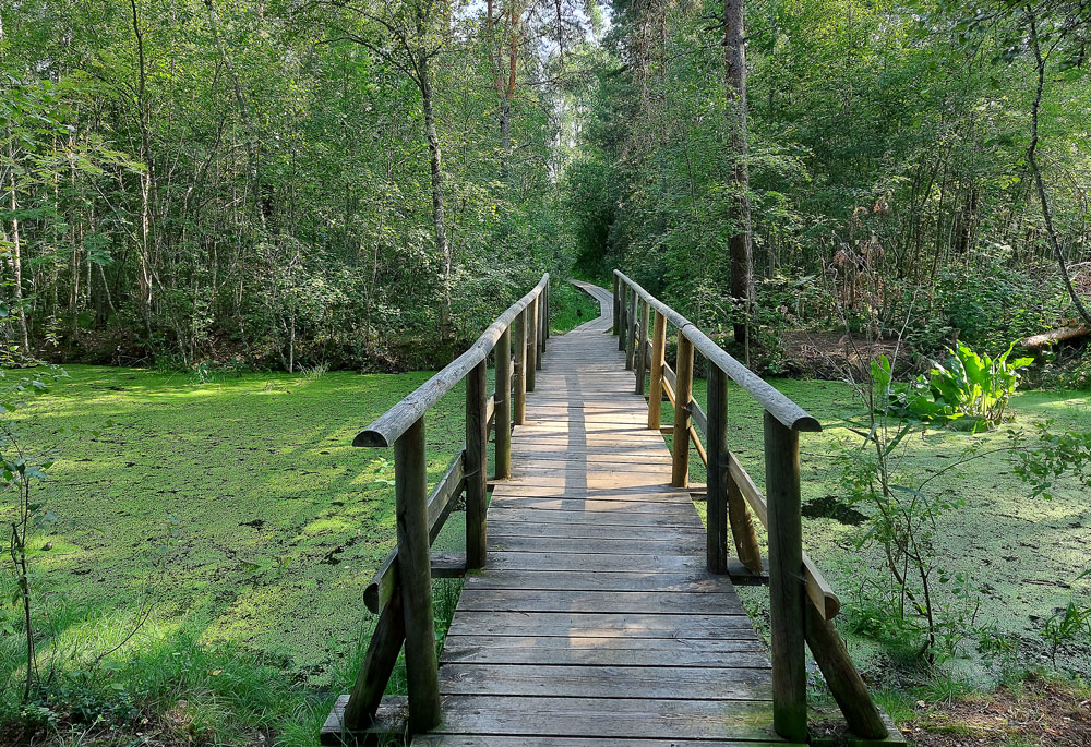 Поход на тропу Пяскюла-Раба