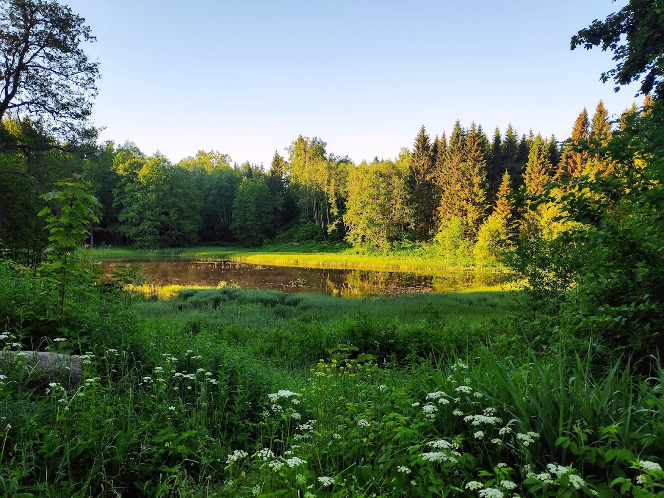 Природная школьная поездка в RMK Oandu