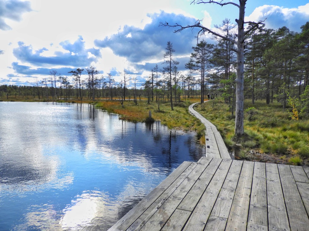 Школьный поход на тропу Виру-Раба